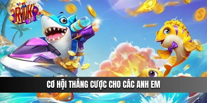 Cơ hội thắng cược cho các anh em