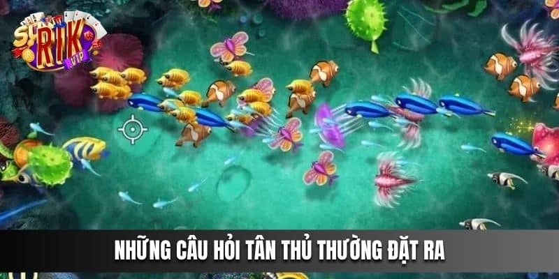 Những câu hỏi tân thủ thường đặt ra