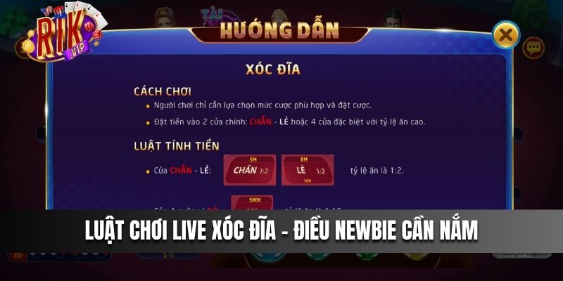 Luật chơi Live Xóc Đĩa – Điều newbie cần nắm