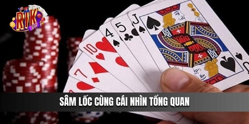 Sâm Lốc - Thông tin tổng quan mới nhất 2024