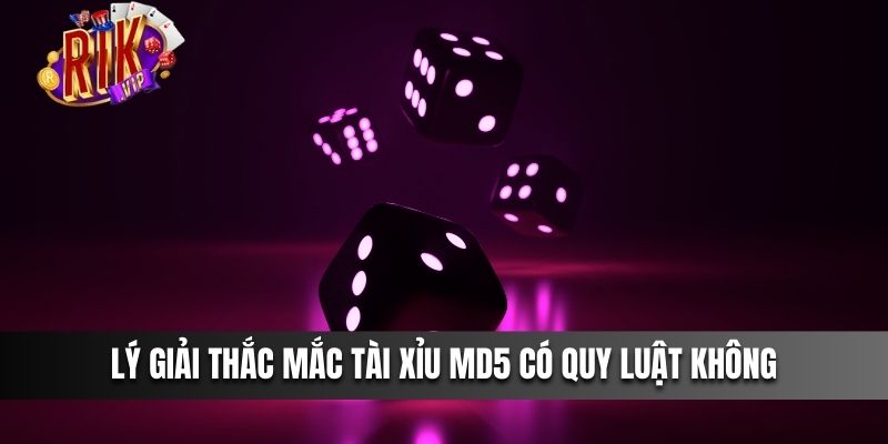 Lý giải thắc mắc Tài Xỉu MD5 có quy luật không